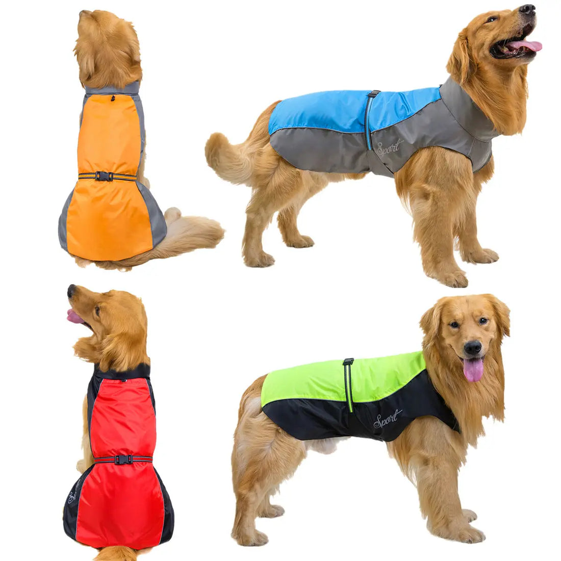 10 Best Dog Toys for Happy and Healthy Dogs